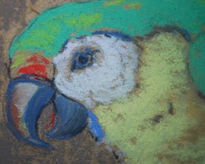 Hugo Berten - Papegaai - uit Berten's kunsthandel in Laren ca. 1930 kopen? Bied vanaf 110!