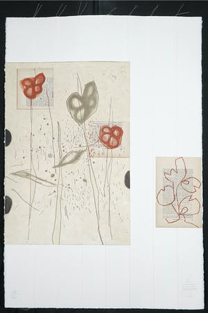 Ronald Ceuppens - Ets & Collage, Flore Belge kopen? Bied vanaf 20!