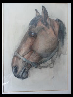 Tini van Doornik - Pastel/Krijt. Paardenhoofd. kopen? Bied vanaf 15!