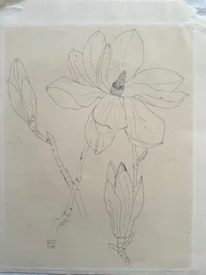 Henk Voskuyl - Magnolia kopen? Bied vanaf 35!