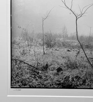 Ralph Janowski - Zonder titel kopen? Bied vanaf 30!