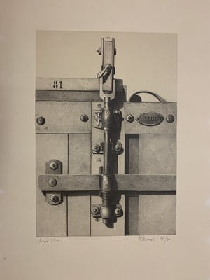 Roger Wittevrongel - “Detail lithopers” kopen? Bied vanaf 215!