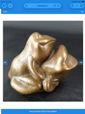 Theo van der Nahmer - Kama Sutra Kikkers kopen? Bied vanaf 100!