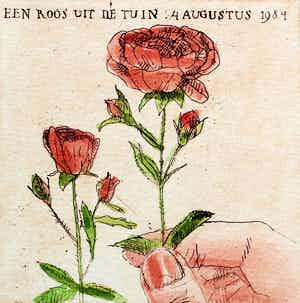 Arja van den Berg - ets: een roos in de tuin - 1984 verkocht voor € 45!