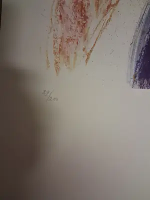 Jan Peter van Opheusden - NYA Dousika s Woman kopen? Bied vanaf 250!