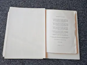 Jacques Pecnard - Grote verzameling gemengde technieken met thema "de Gaulle" gesigneerd kaufen? Bieten Sie von 75!