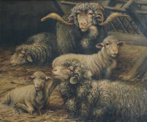 Béla Harmann - Olieverf op doek, “Schapen” – ingelijst – ca 1875-1899 - Groot kopen? Bied vanaf 1!