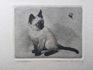 Maarten Langbroek - ets van een poes (in uitstekende conditie) kopen? Bied vanaf 55!