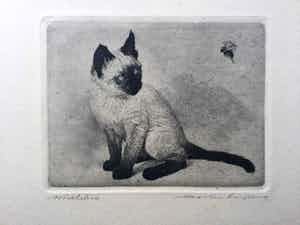 Maarten Langbroek - ets van een poes (in uitstekende conditie) verkocht voor € 55!