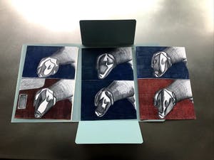 Paul van der Eerden - Dogcows kopen? Bied vanaf 10!