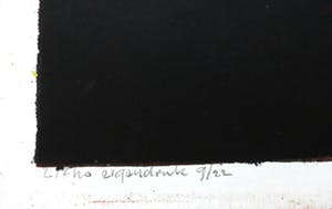 Joost Minnigh - zeefdruk: Amaryllis in spiegelbeeld - 1997 kopen? Bied vanaf 49!