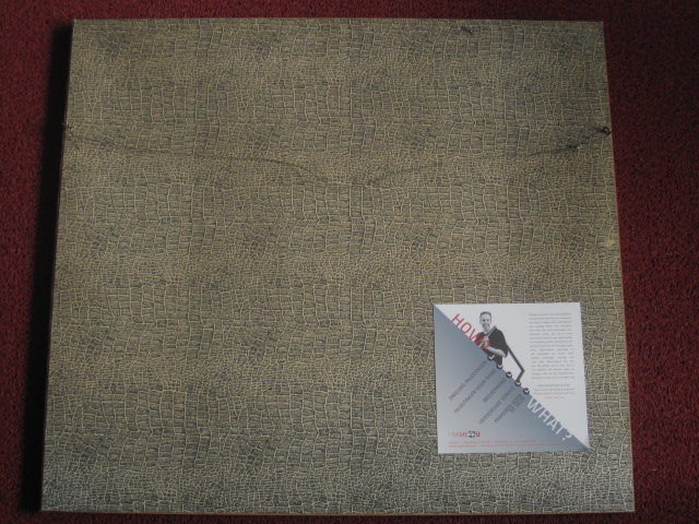 Hein Stork - Fascinerend impressionistisch Aquarel "Duin en bos landschap Noord-Holland"  kopen? Bied vanaf 570!