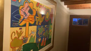 Corneille - Birds cats kopen? Bied vanaf 1500!