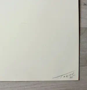 Mario Toral - Lithographie - Limitierte Auflage - signiert - (75 x 55 cm) kopen? Bied vanaf 150!
