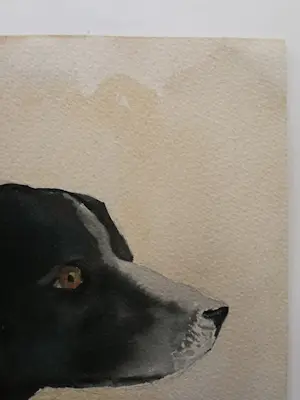 Jan van Riel - Hond. 'Polly'. 1951 kopen? Bied vanaf 69!