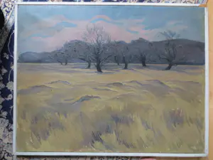 Henri van der Waals - Veluwe Zandverstuiving 1975 kopen? Bied vanaf 150!