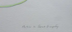 Antoine de Saint-Exupery - LE PETIT PRINCE / KLEURLITHO / 40x31cm / DROOGSTEMPEL kopen? Bied vanaf 35!