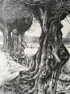 Patrick Creyghton - Landschap met bomen kopen? Bied vanaf 65!