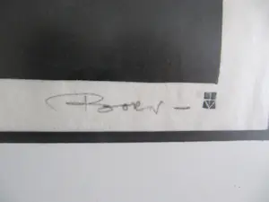 Jan van Doorn - Vissen op het droge kopen? Bied vanaf 75!