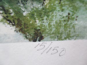 Ciano Siewert - Litho Rijksmunt Utrecht kopen? Bied vanaf 35!