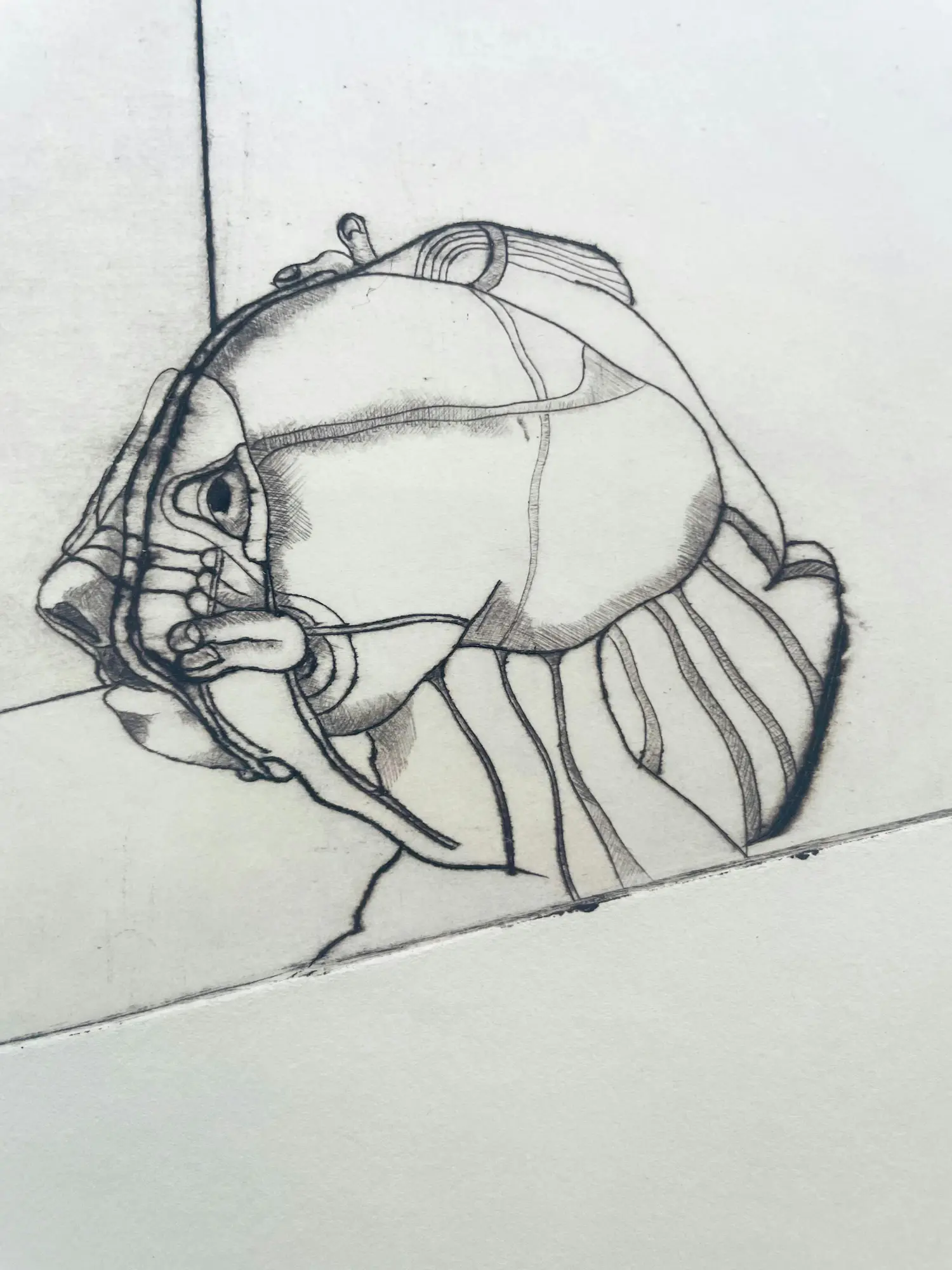 John Hesselberth (1947)