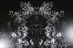 Andrei Petrescu - C-print op alubond, Anamorphosis - Ingelijst (Zeer groot) kopen? Bied vanaf 1!