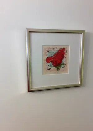 Richard Smeets - Zeefdruk (mooi gelijst) kopen? Bied vanaf 65!