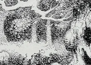 Ignacio Agudo Agudo Clara - Bomenlandschap kopen? Bied vanaf 450!