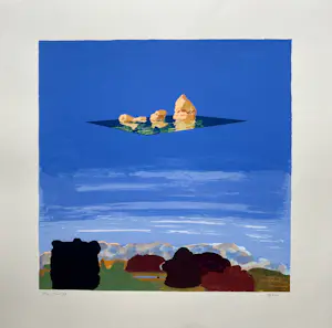Rien Bout - Paisaje Flotante kopen? Bied vanaf 55!