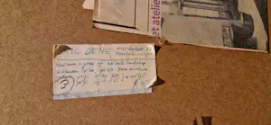 Eric de Nie - Ruitvorm in gras kopen? Bied vanaf 80!