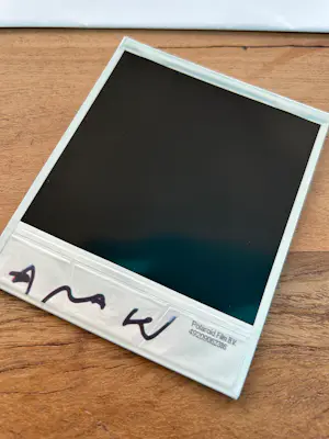 Nobuyoshi Araki - Originele gesigneerde polaroid kaufen? Bieten Sie von 150!