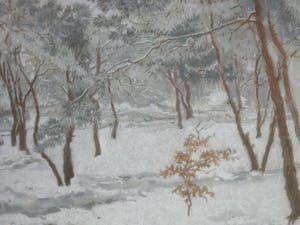 Wim van Ham - Wintergezicht. Dennenbos in de sneeuw. kopen? Bied vanaf 1!
