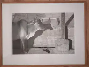 Mark Verdoes - India-4 kopen? Bied vanaf 60!