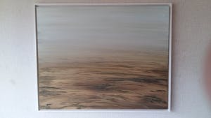 Joost Erftemeijer - bruingele zandvlakte kopen? Bied vanaf 75!