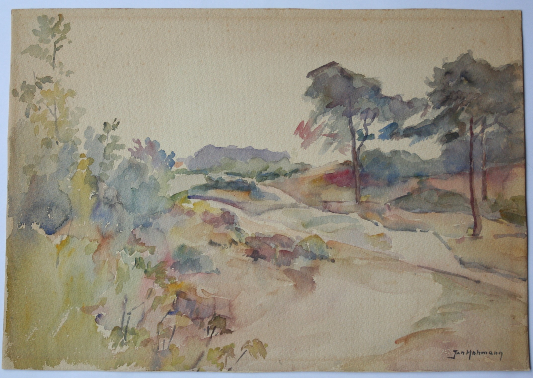 Jan Hohman - aquarel op grof papier - landschap - gesigneerd kopen? Bied vanaf 1!