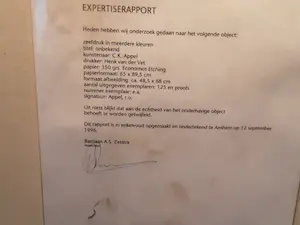Karel Appel - Onbekend kopen? Bied vanaf 650!