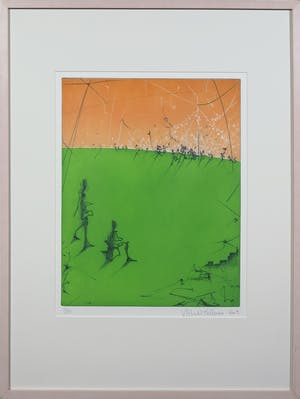 Ronald Tolman - Kleurenets, Feest in de verte - Ingelijst kopen? Bied vanaf 50!