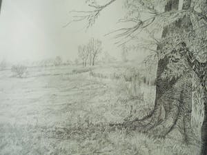 Cees Schellenberg - Tekening - Mariapolder Dordrecht kopen? Bied vanaf 60!