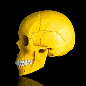 Mr. Strange - Death in Yellow verkocht voor € 60!