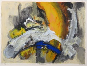 Hans Vanhorck - Litho, Perception - Ingelijst kopen? Bied vanaf 35!