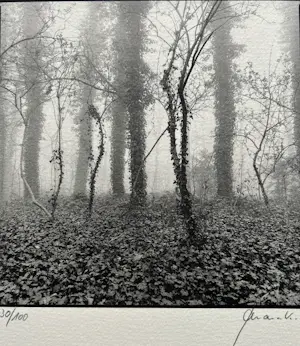 Ralph Janowski - 2x zeefdruk kopen? Bied vanaf 32!