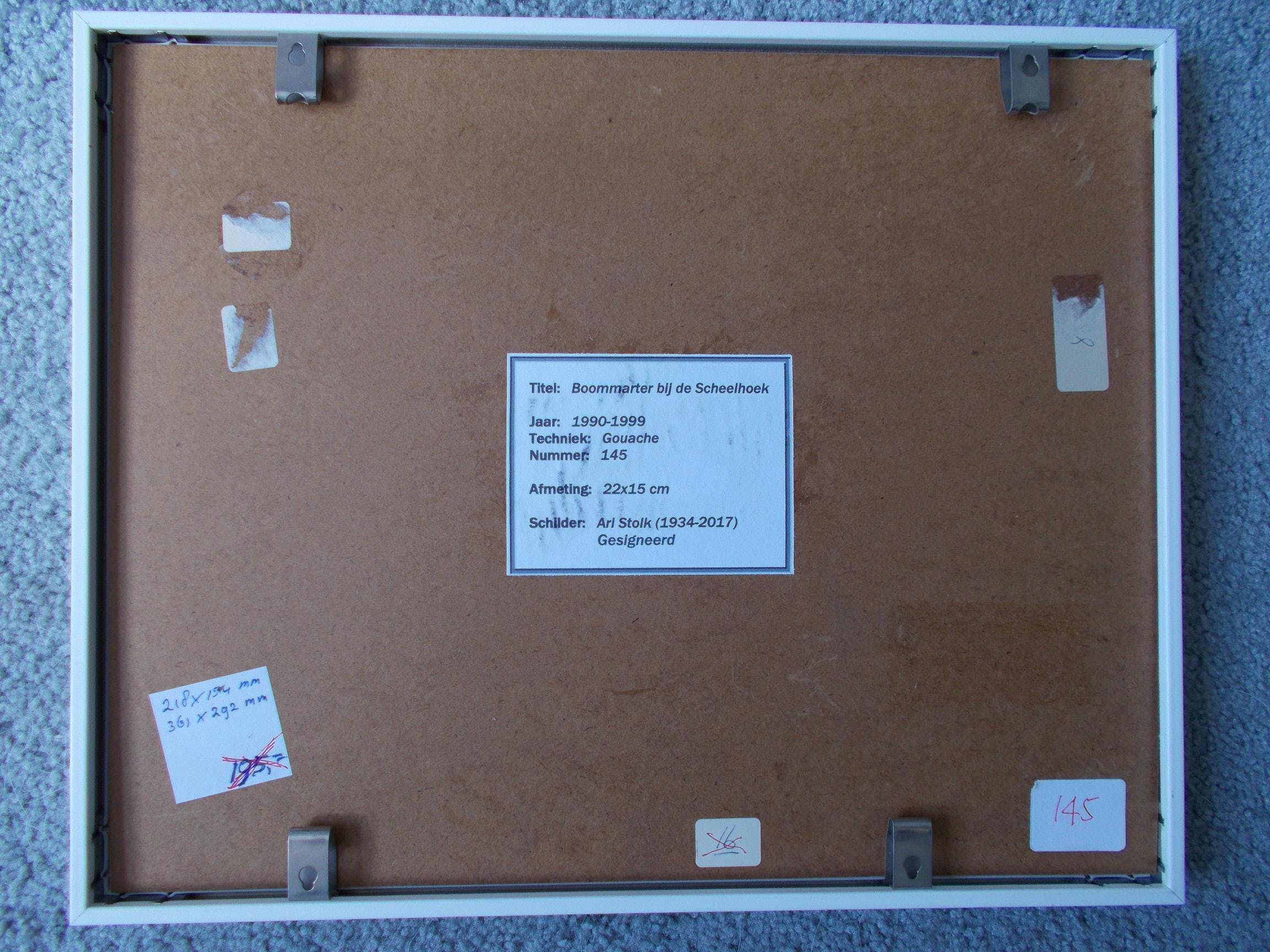 Ari Stolk - Boommarter in de Scheelhoek kopen? Bied vanaf 75!