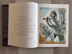 Pablo Picasso - 1945-1973 - Klaus Gallwitz - éditions Denoël kopen? Bied vanaf 40!