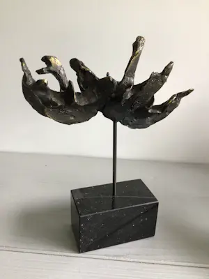 Bernadette Leijdekkers - “ Wilde Zwanen “ zeldzaam kopen? Bied vanaf 99!