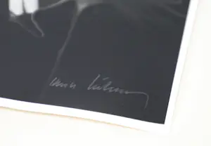 Karin Szekessy - Belle et Triste kopen? Bied vanaf 300!