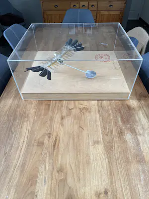 Panamarenko - Ravens variable matrix kopen? Bied vanaf 11000!