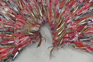 Gerda Edens - Hoofdtooi gemaakt van diverse materialen kopen? Bied vanaf 80!