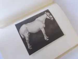 Jan Mankes - door A.Mankes-Zernike genummerde luxe uitgave kopen? Bied vanaf 375!
