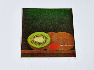 Joop Vegter - Fraaie kleine mezzotint "kiwis en radijs" - bep. oplage (75) - potloodgesigneerd kaufen? Bieten Sie von 45!
