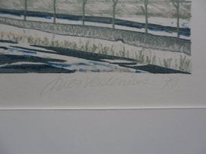 Lies Verdenius - Litho. Titel, "Verbrande vingers". uit 1979 kopen? Bied vanaf 20!